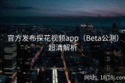 官方发布探花视频app（Beta公测）超清解析