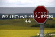 麻豆福利汇总公测上线13大亮点彩蛋连连