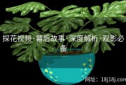 探花视频·幕后故事·深度解析·观影必备
