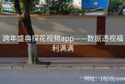 跨年盛典探花视频app——数据透视福利满满
