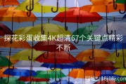 探花彩蛋收集4K超清67个关键点精彩不断