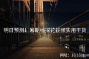 明日预测！暑期档探花视频实用干货