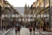周年庆-蘑菇影视在线观看-全景重现-技术流解析