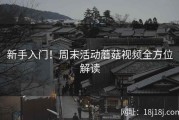 新手入门！周末活动蘑菇视频全方位解读