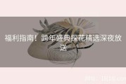 福利指南！跨年盛典探花精选深夜放送