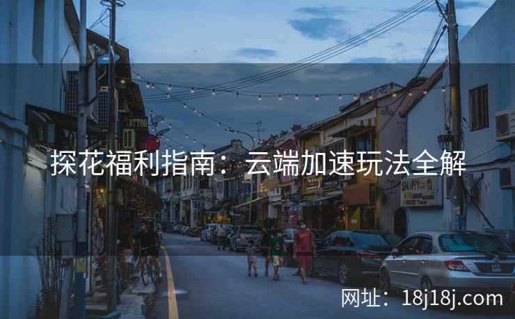 探花福利指南：云端加速玩法全解