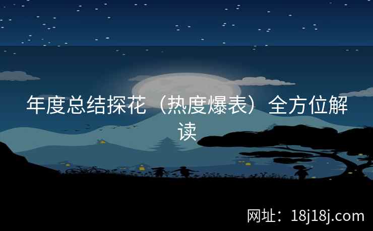 年度总结探花（热度爆表）全方位解读