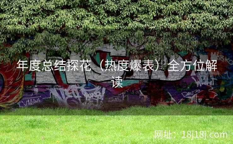 年度总结探花（热度爆表）全方位解读