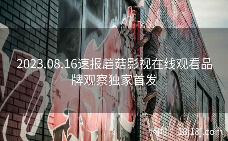 2023.08.16速报蘑菇影视在线观看品牌观察独家首发