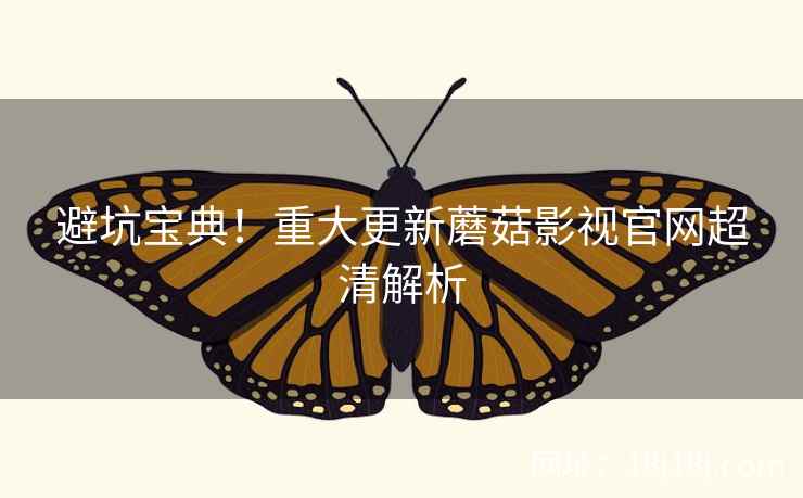 避坑宝典！重大更新蘑菇影视官网超清解析