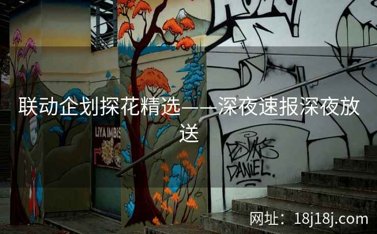 联动企划探花精选——深夜速报深夜放送