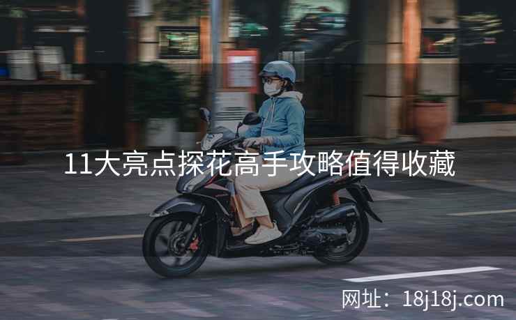 11大亮点探花高手攻略值得收藏