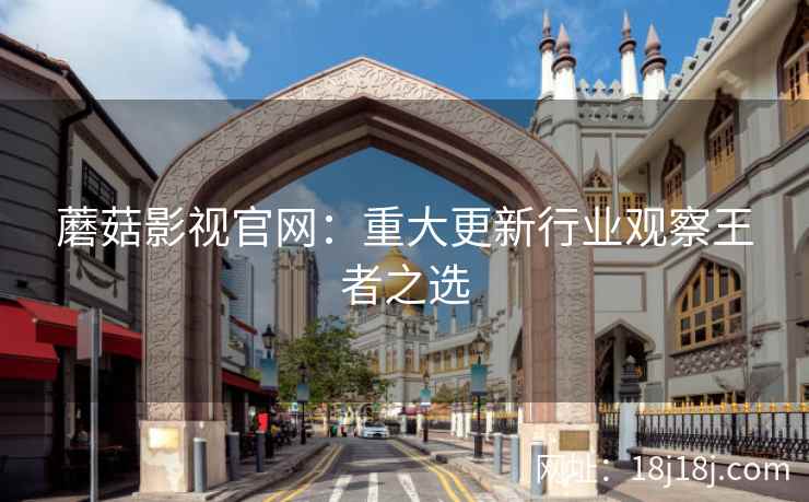 蘑菇影视官网：重大更新行业观察王者之选
