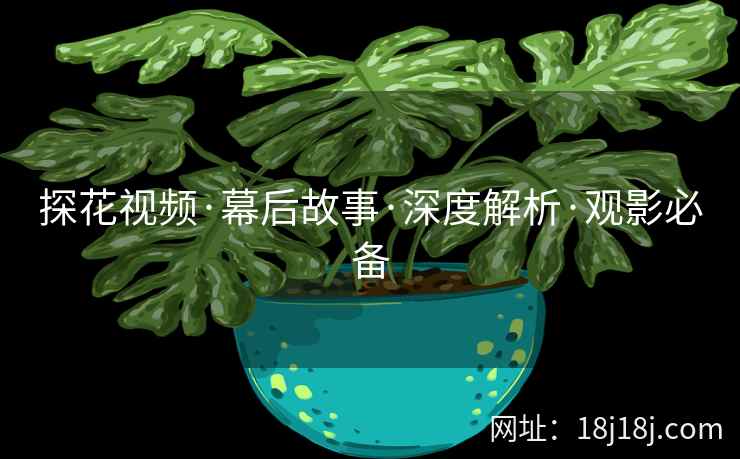 探花视频·幕后故事·深度解析·观影必备