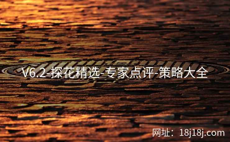 V6.2-探花精选-专家点评-策略大全