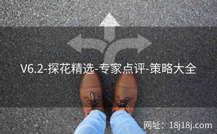 V6.2-探花精选-专家点评-策略大全