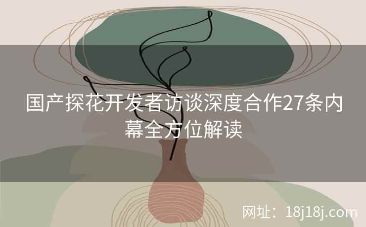 国产探花开发者访谈深度合作27条内幕全方位解读