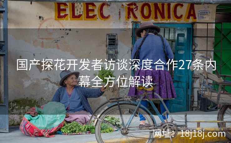 国产探花开发者访谈深度合作27条内幕全方位解读
