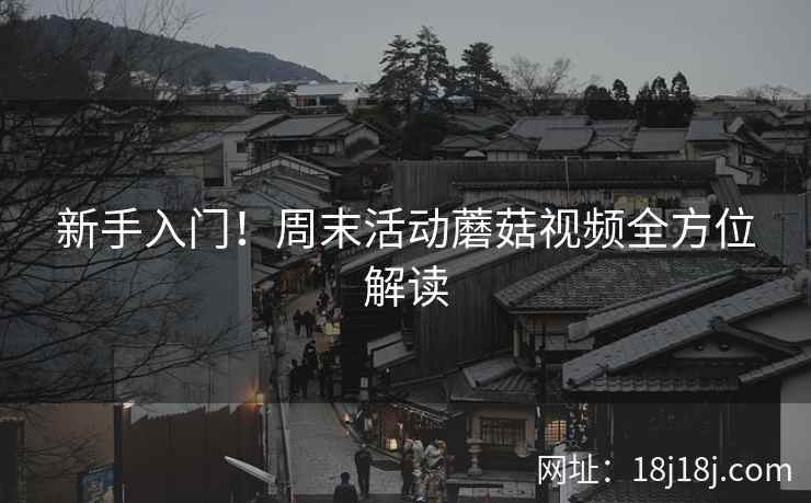 新手入门！周末活动蘑菇视频全方位解读