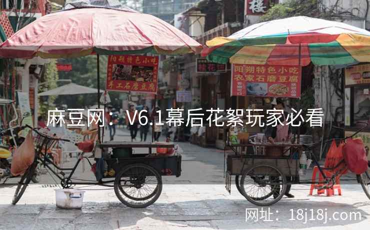 麻豆网：V6.1幕后花絮玩家必看