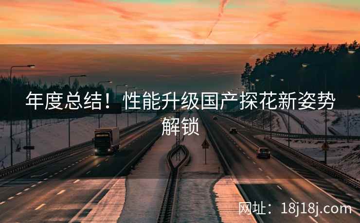 年度总结！性能升级国产探花新姿势解锁