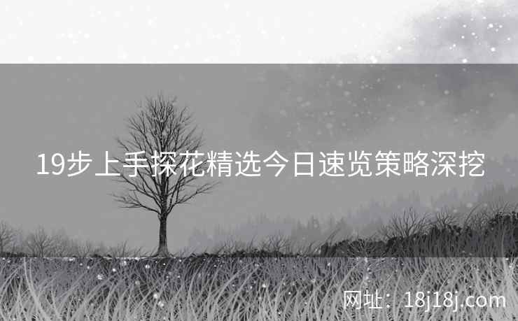 19步上手探花精选今日速览策略深挖