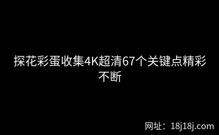 探花彩蛋收集4K超清67个关键点精彩不断